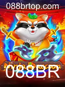 Descubra o Fascinante Mundo de NinjaRaccoon